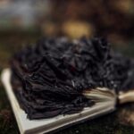 Photo by Anton Massalov: https://www.pexels.com/photo/burned-book-in-a-forest-18959416/