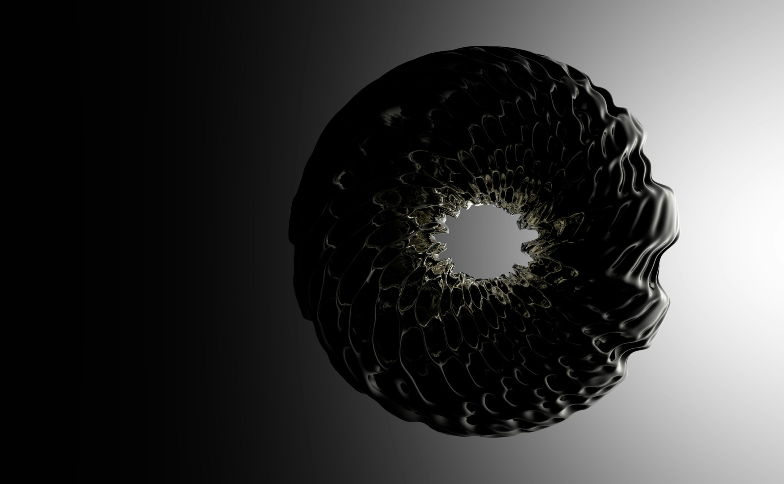 Torus